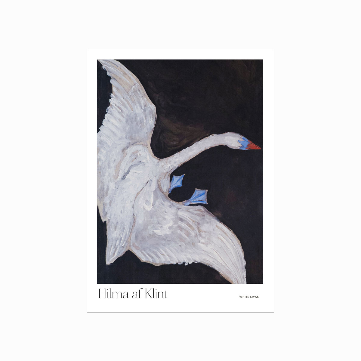 Hilma af Klint White Swan